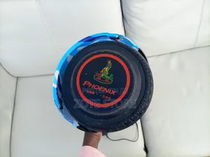 Phoenix Hoverboard