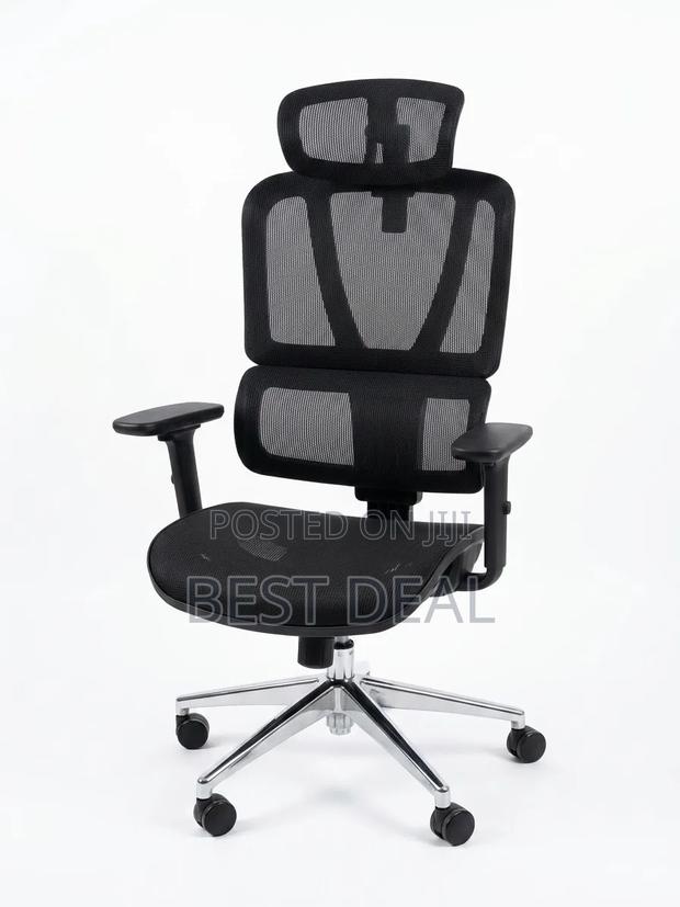 Ergonomic Chair With Quality Breathable Mesh Seat and Back