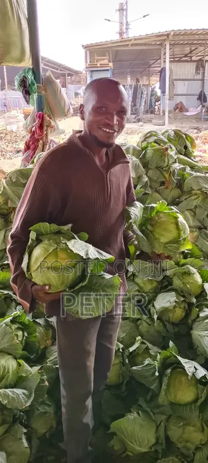 Cabbage Fresh Kwa Bei Poa