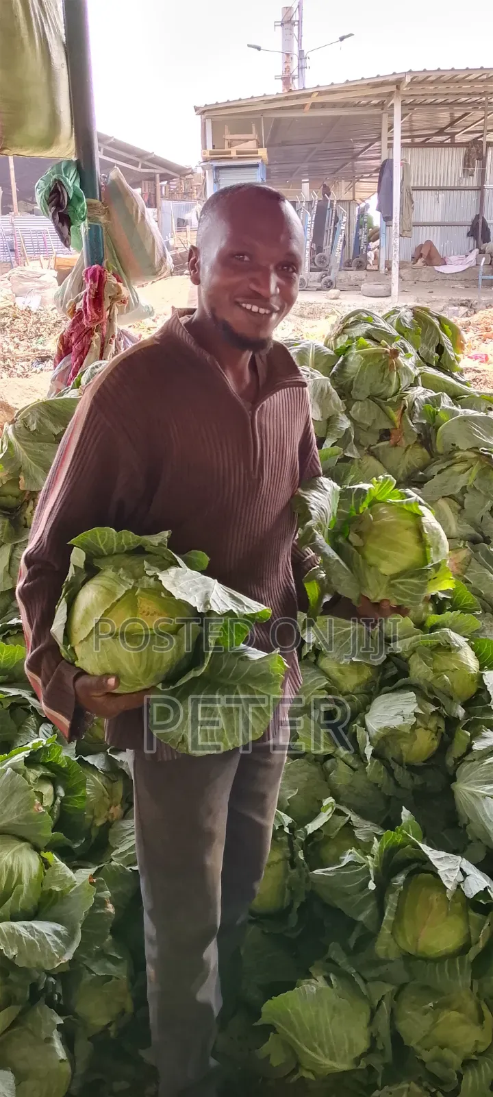 Cabbage Fresh Kwa Bei Poa