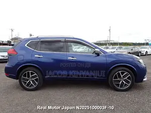 Nissan X-Trail 2.0 Petrol AWD 2019 Blue