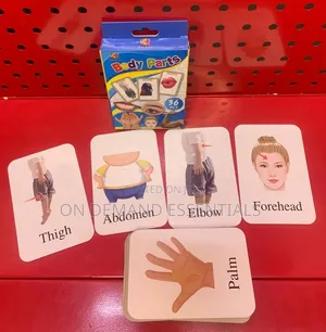 Body Parts Naming Cards Very Educational
