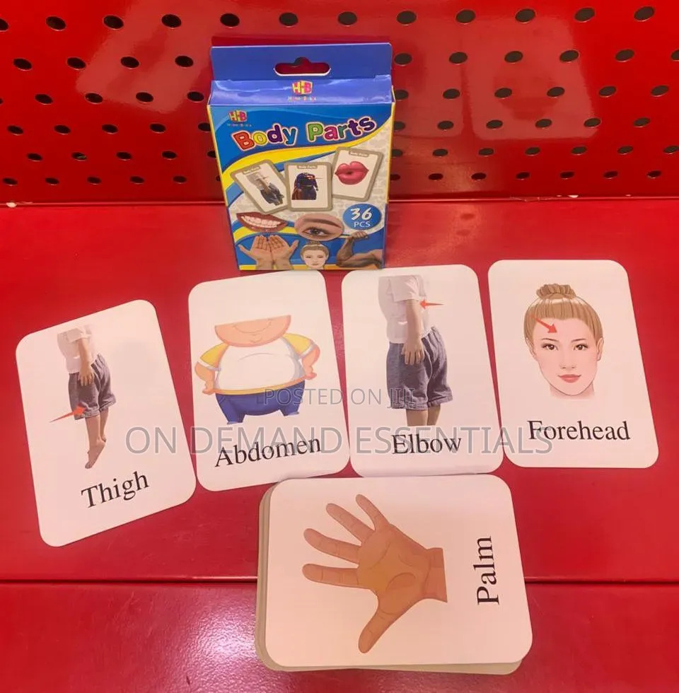 Body Parts Naming Cards Very Educational