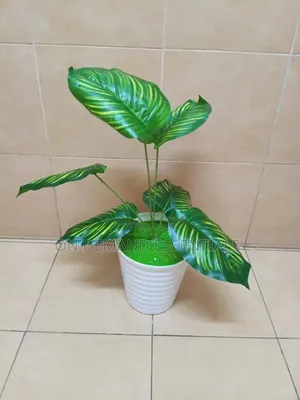 Decor Flowers 
Size 75cm