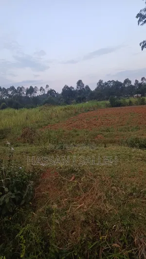 1acre Land 4 Sale