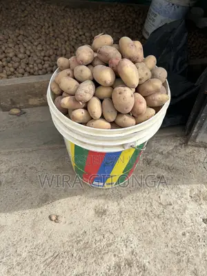 Last Lot of Potatoes!