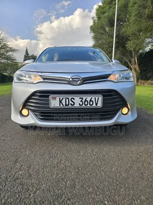 Toyota Corolla Fielder 2017 Silver