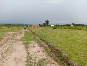 50*100 Plot for Sale