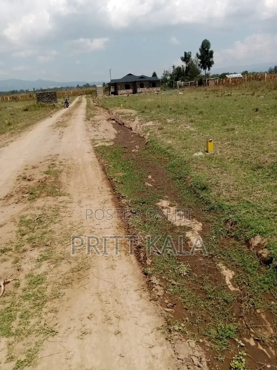 50*100 Plot for Sale