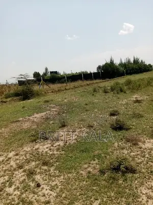 50*100 Plot for Sale