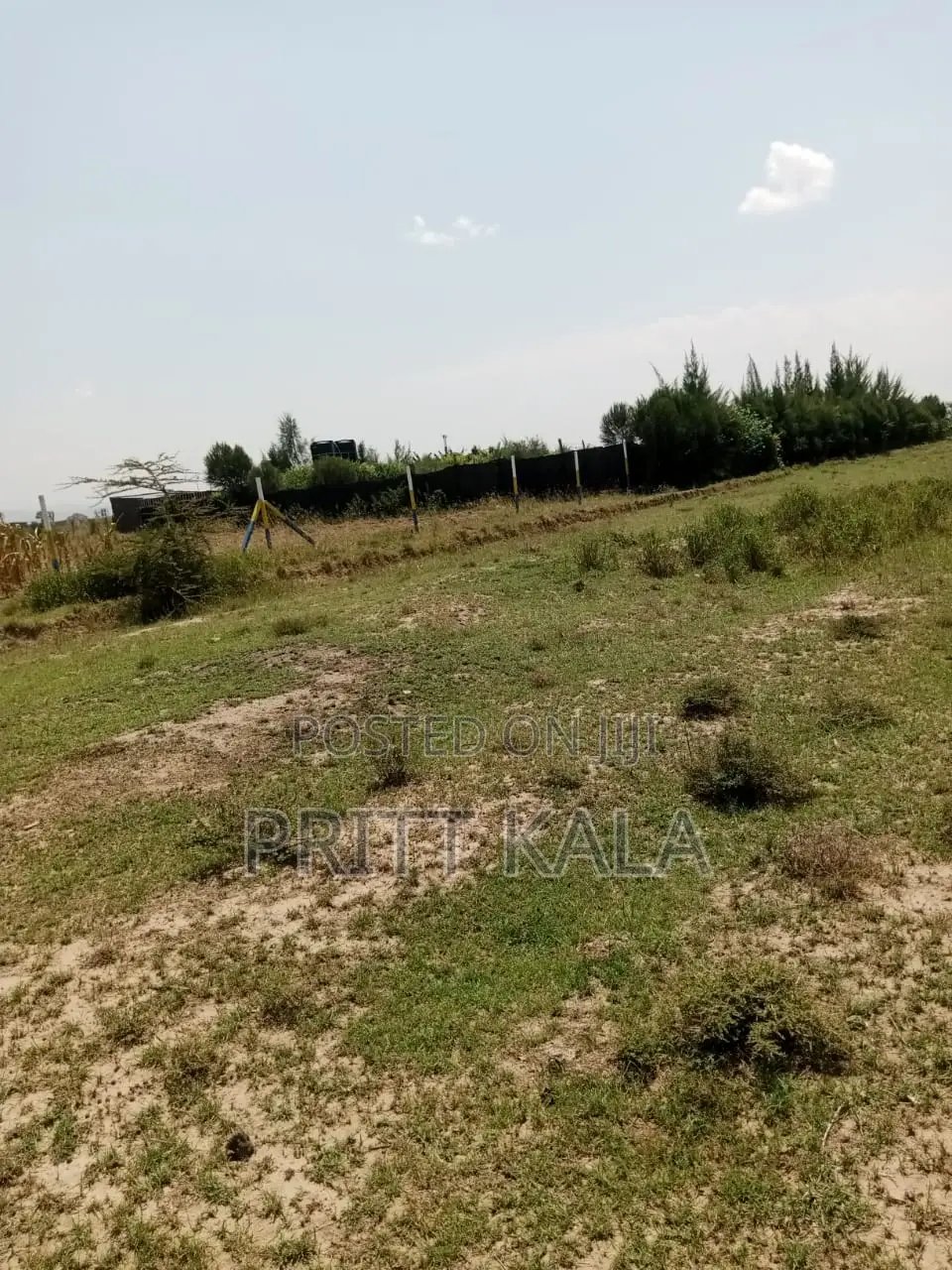 50*100 Plot for Sale