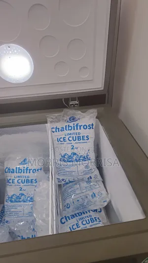 Pure Ice Cubes Supplier in Bulk