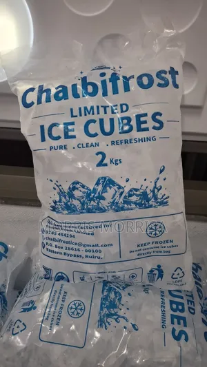 Pure Ice Cubes Supplier in Bulk