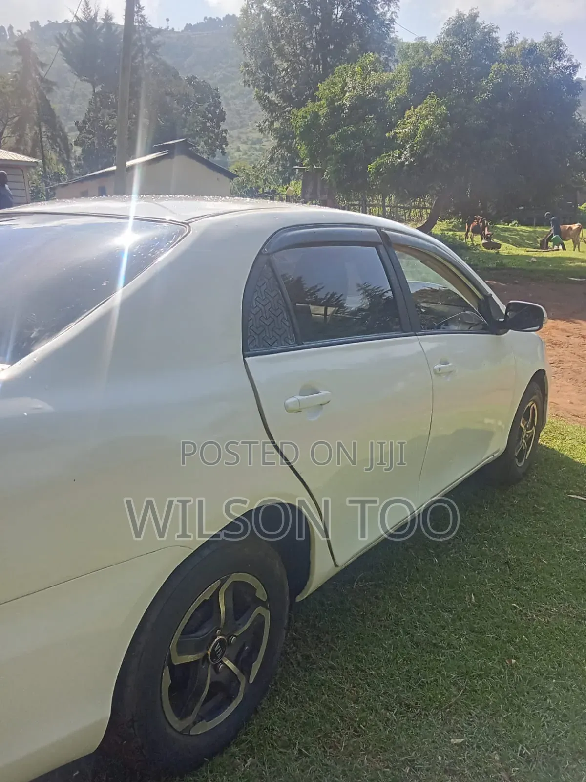 Toyota Axio 2013 White