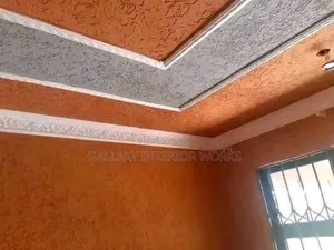 Best House Painter , Wallmaster , Skimming and House Renovations