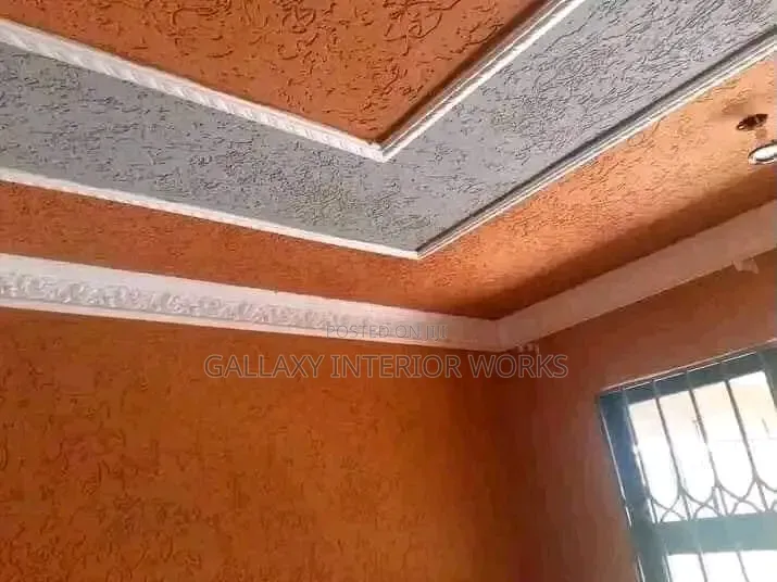 Best House Painter , Wallmaster , Skimming and House Renovations