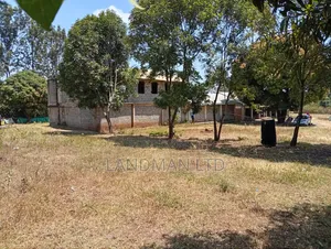 School on Sale Kenol