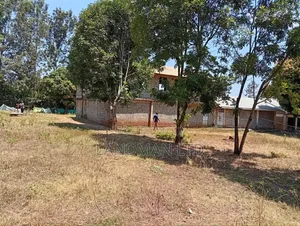 School on Sale Kenol