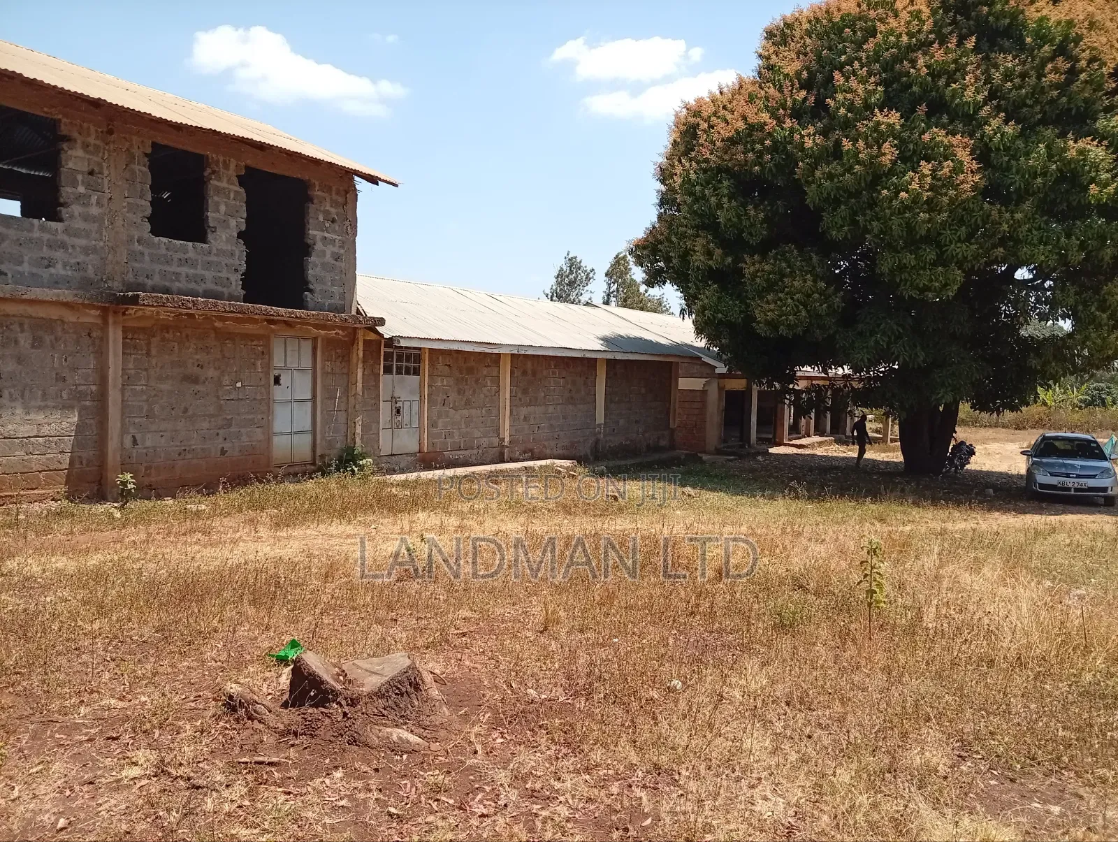School on Sale Kenol