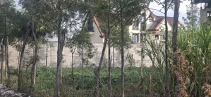 50×100 Plot for Sale – Gilgil, Langa Langa