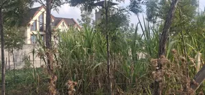 50×100 Plot for Sale – Gilgil, Langa Langa