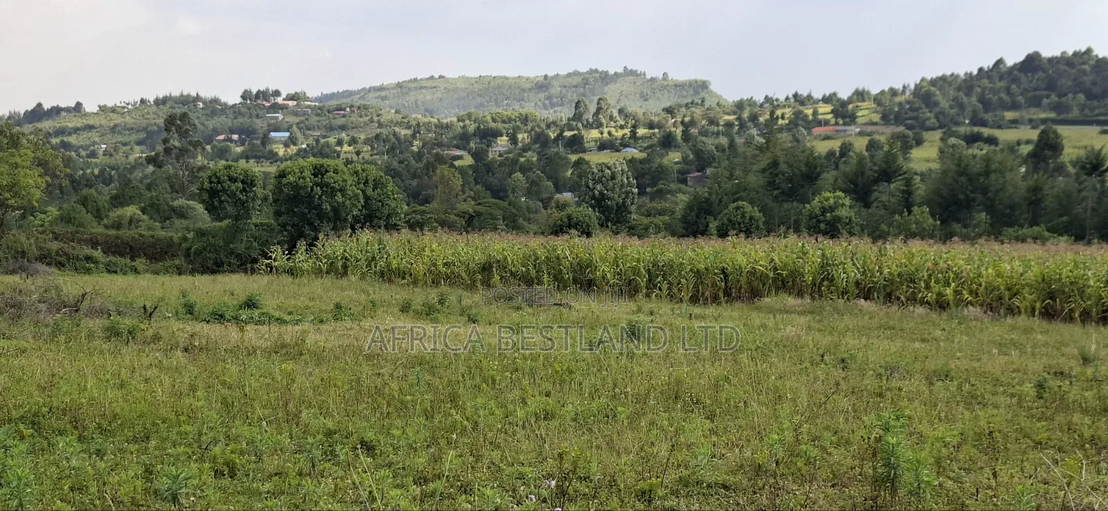 50×100 Plot for Sale – Gilgil, Langa Langa