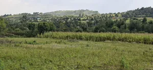 50×100 Plot for Sale – Gilgil, Langa Langa