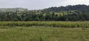 50×100 Plot for Sale – Gilgil, Langa Langa