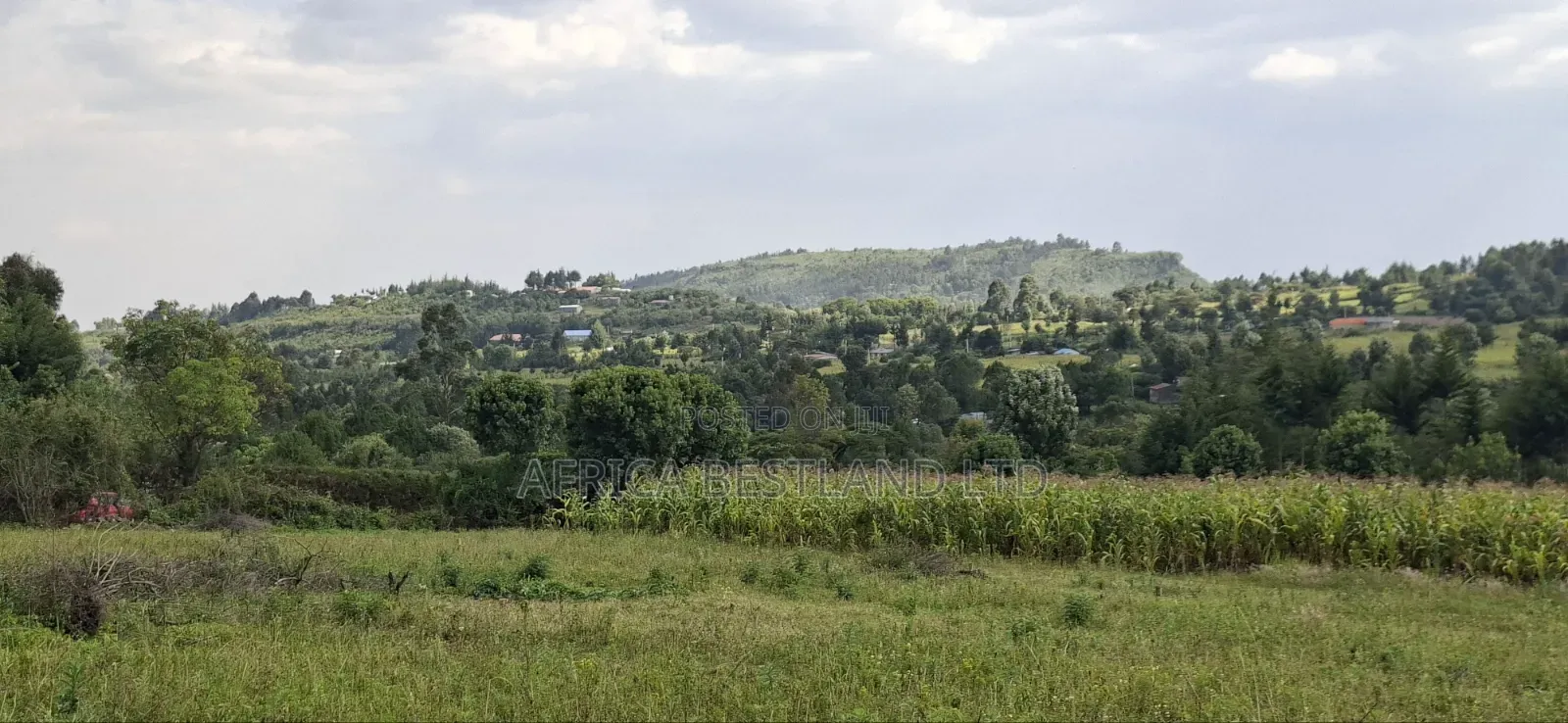 50×100 Plot for Sale – Gilgil, Langa Langa