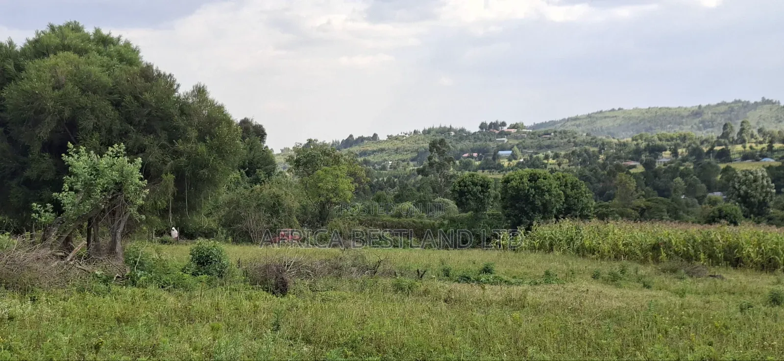 50×100 Plot for Sale – Gilgil, Langa Langa