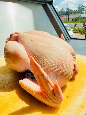 Broiler Chicken for Sell