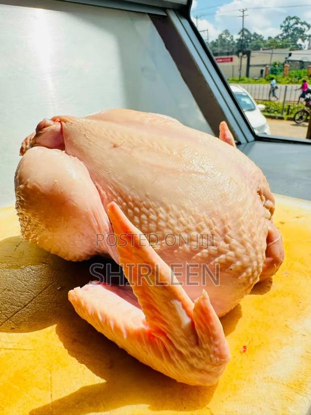 Broiler Chicken for Sell