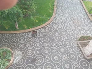 Cobblestone and Cabro Paving