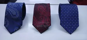 Colourful Men Ties