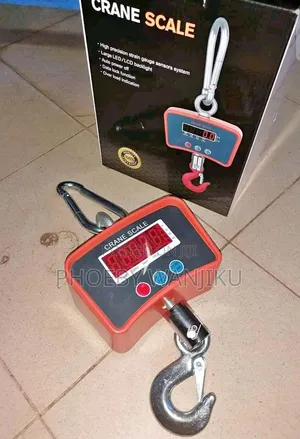 500kgs Crane Scale/Digital 500kgs Crane Weight Scale