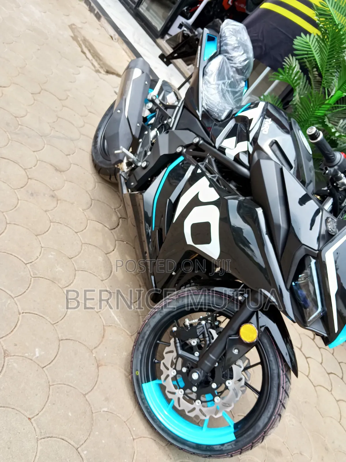 New Taro GP1 250R 2026 Black