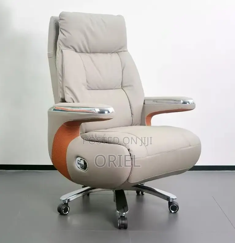 Office Chair : High Back Executive C.E.O Office Leather Chair