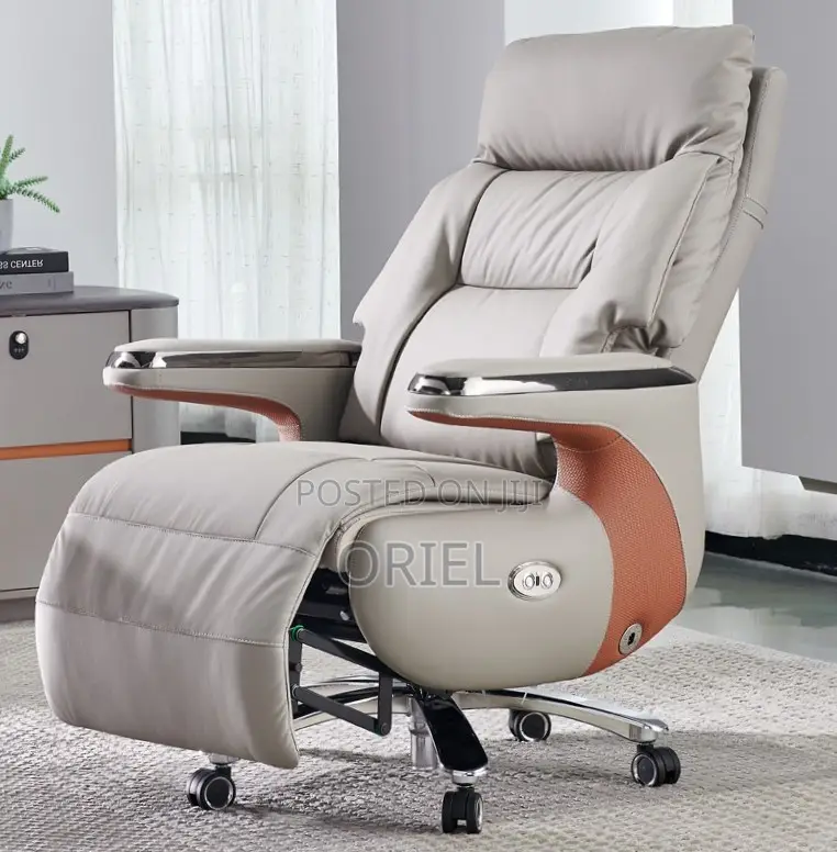 Office Chair : High Back Executive C.E.O Office Leather Chair