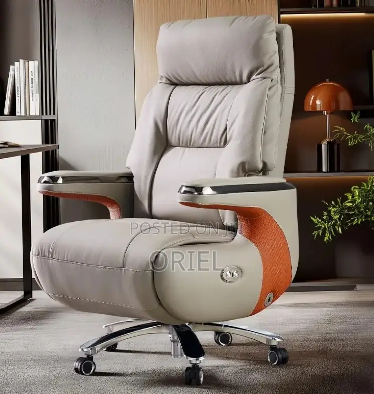 Office Chair : High Back Executive C.E.O Office Leather Chair