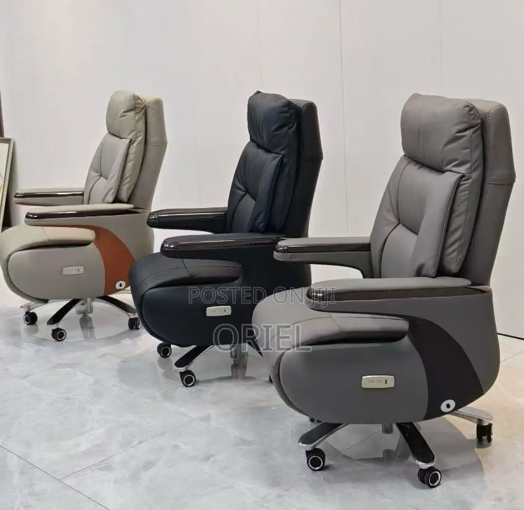Office Chair : High Back Executive C.E.O Office Leather Chair