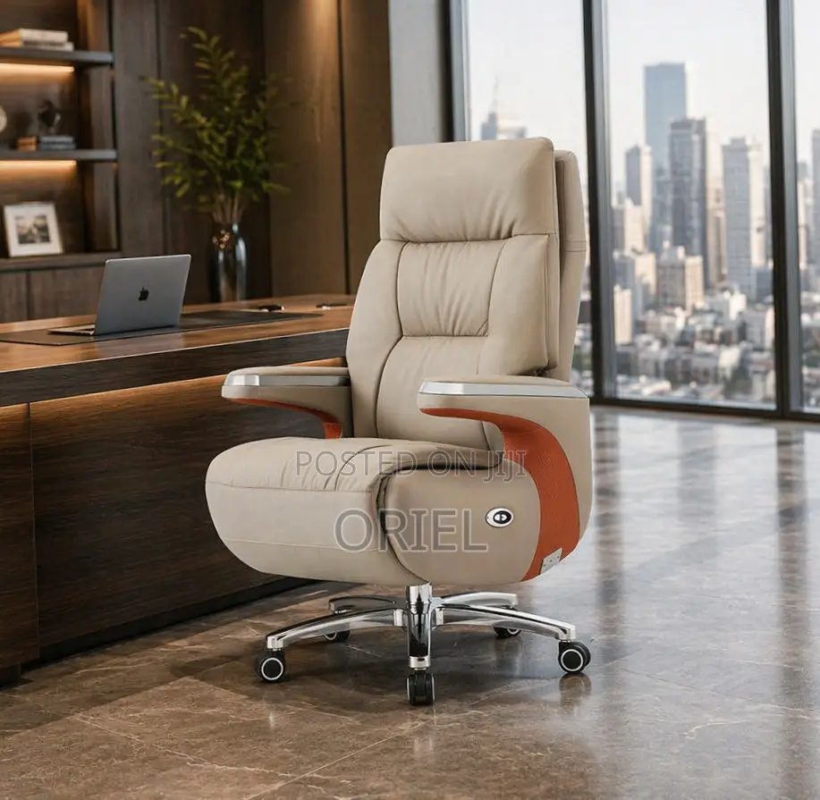Office Chair : High Back Executive C.E.O Office Leather Chair