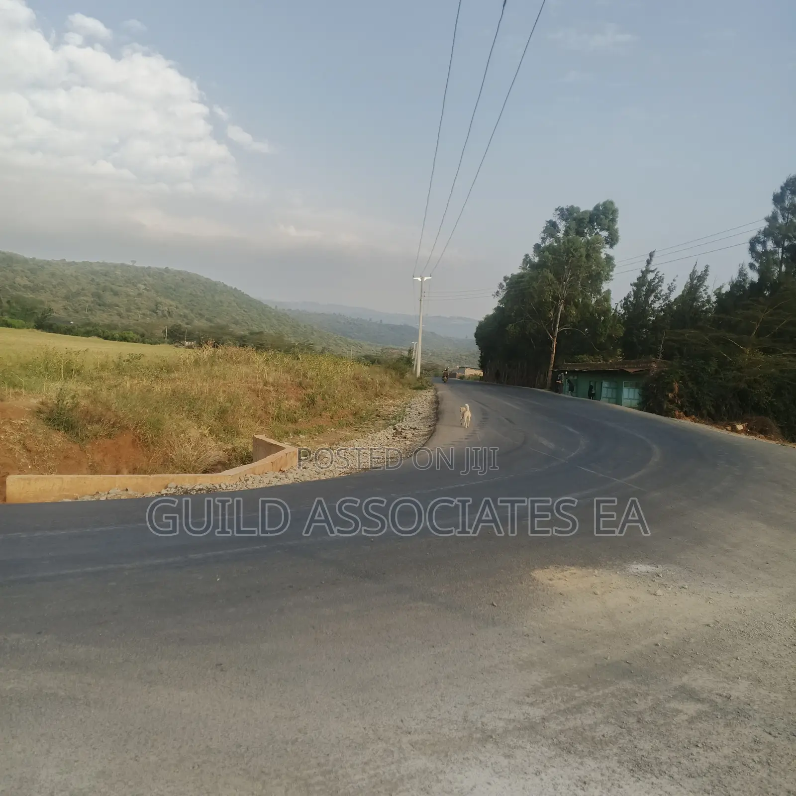 Scenic 0.5 Acre Land for Sale Kijabe