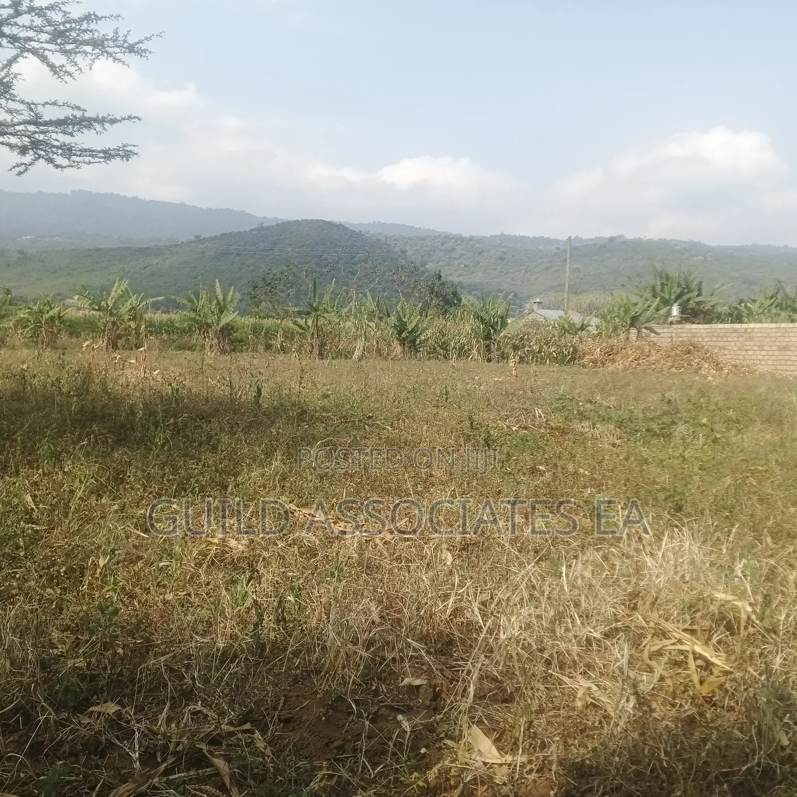 Scenic 0.5 Acre Land for Sale Kijabe