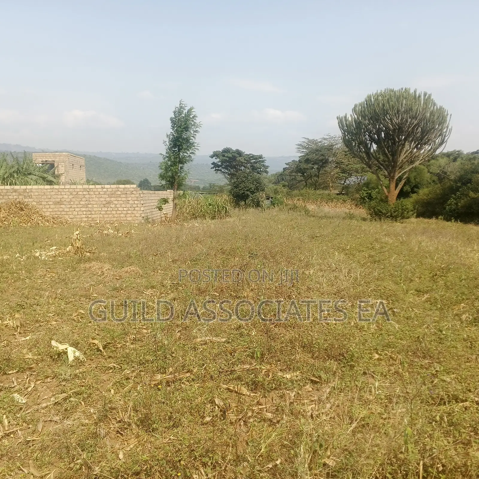 Scenic 0.5 Acre Land for Sale Kijabe