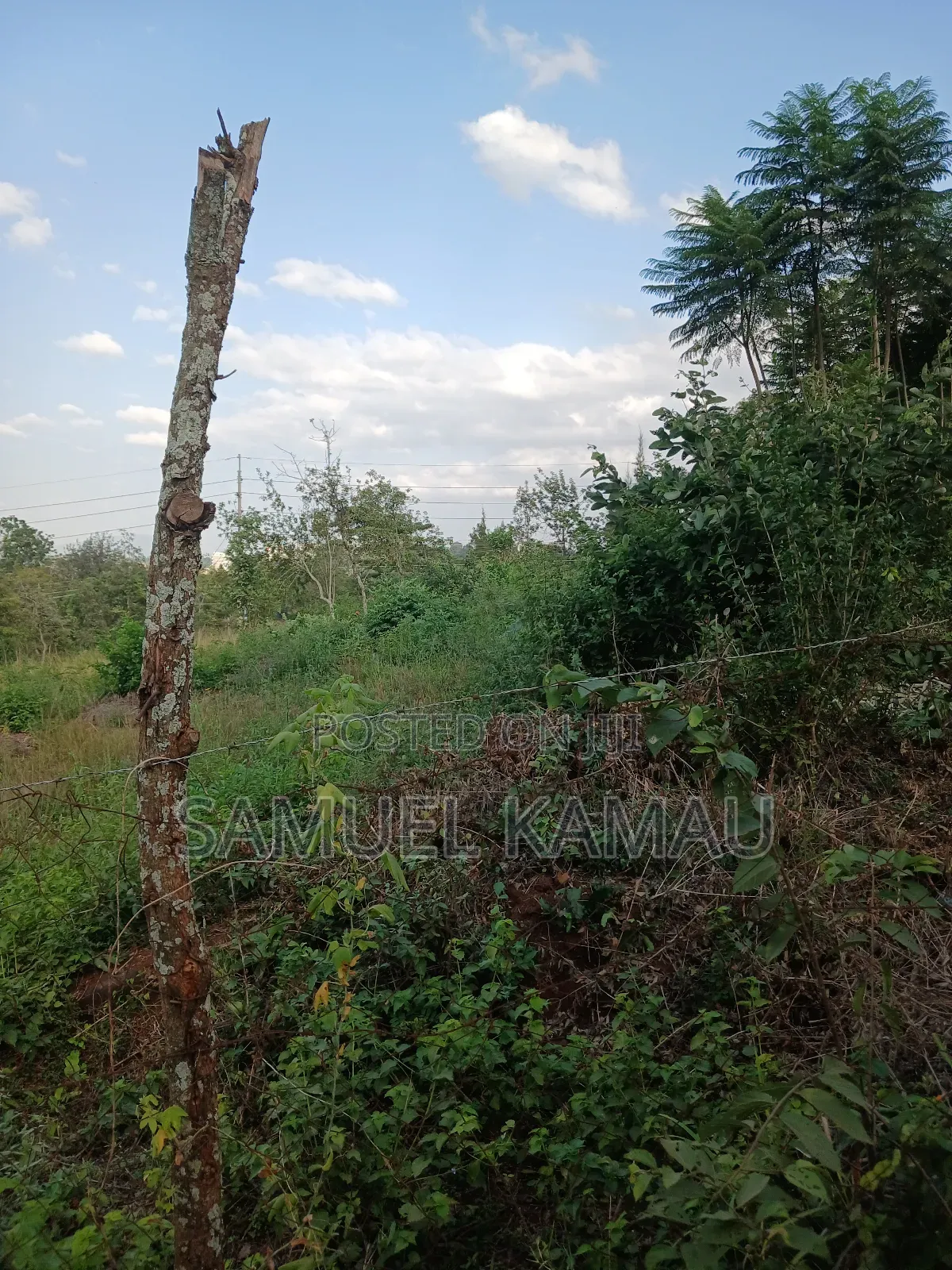 Thika, Highway, 2 Acres Fronting Tarmac KSHS 80 Million