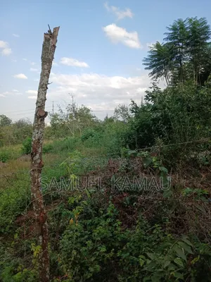 Thika, Highway, 2 Acres Fronting Tarmac KSHS 80 Million