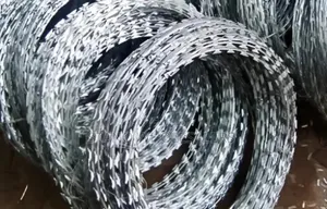 Stainless Razor Wires