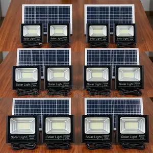 Factory Direct Prices 100W,200W,300W Watts Double Solar Floodlights