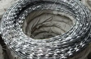 Stainless Razor Wires