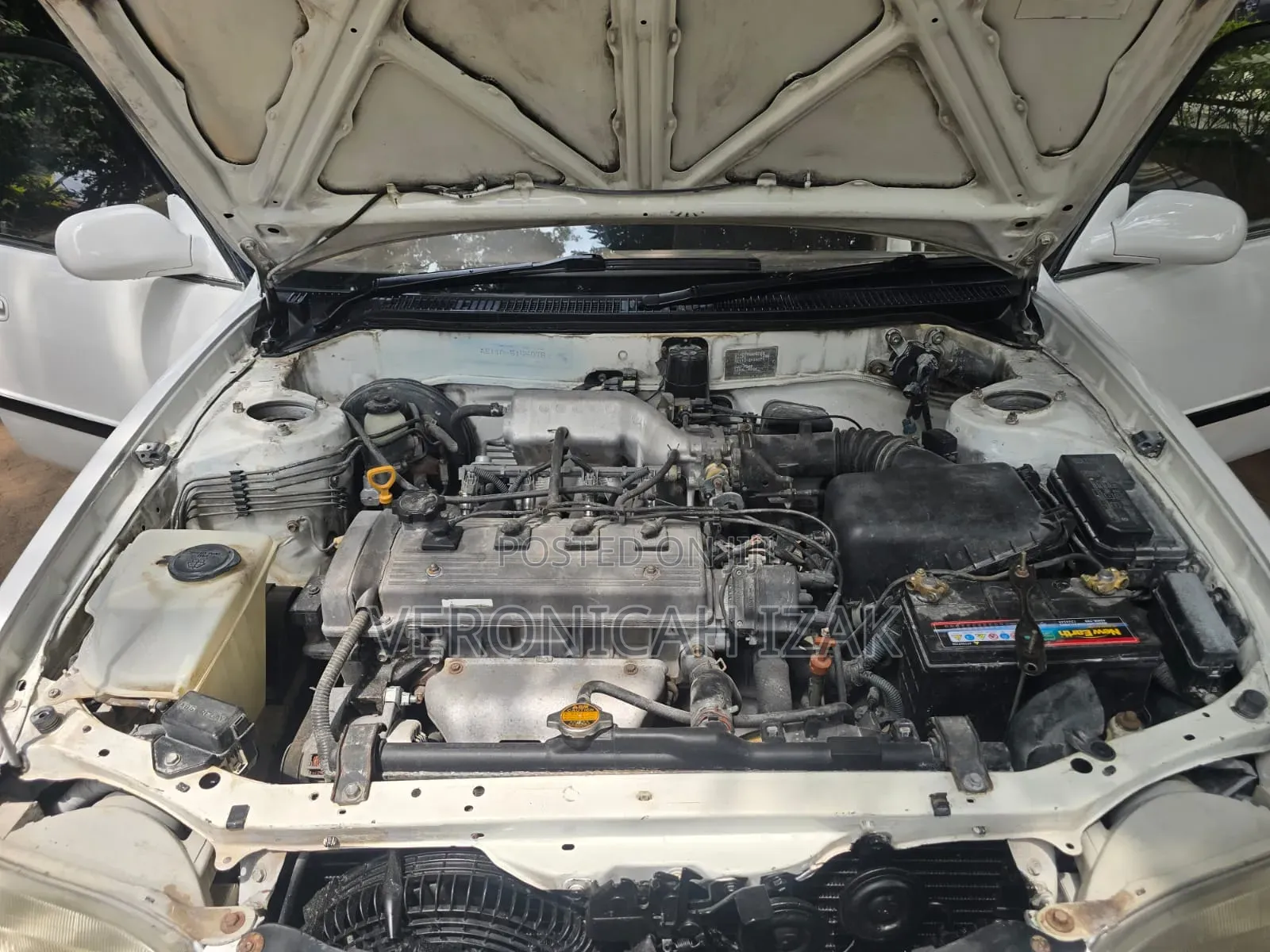 Toyota Corolla 1997 White